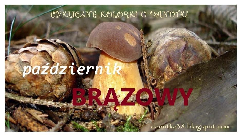 http://danutka38.blogspot.com/2014/10/cykliczne-kolorki-u-danutki-pazdziernik.html