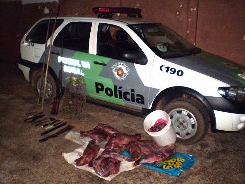 http://2.bp.blogspot.com/-BW11SZfDUu0/U0ly743DPQI/AAAAAAAAV-U/vEnQLT6AgkI/s1600/Apreens%25C3%25A3o+de+carne+de+capivara+13-09-10%252C+Mirante+do+Paranapanema+SP+Foi+lavrado+ao+ca%25C3%25A7ador+um+Auto+de+Infra%25C3%25A7%25C3%25A3o+Ambiental+no+valor+de+R%2524+22+mil.jpg