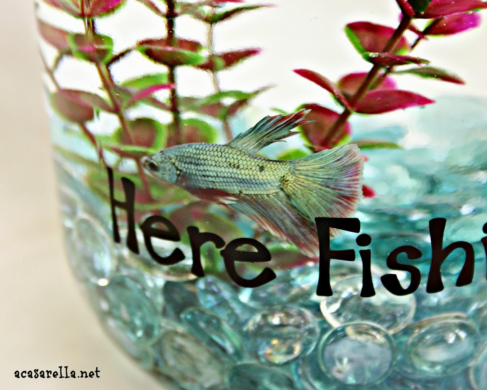 Pickle Jar Fish Bowl 'A Casarella