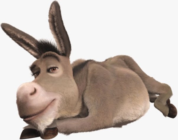 Se o #Burro do #Shrek - Tami Serra - Marketing Digital