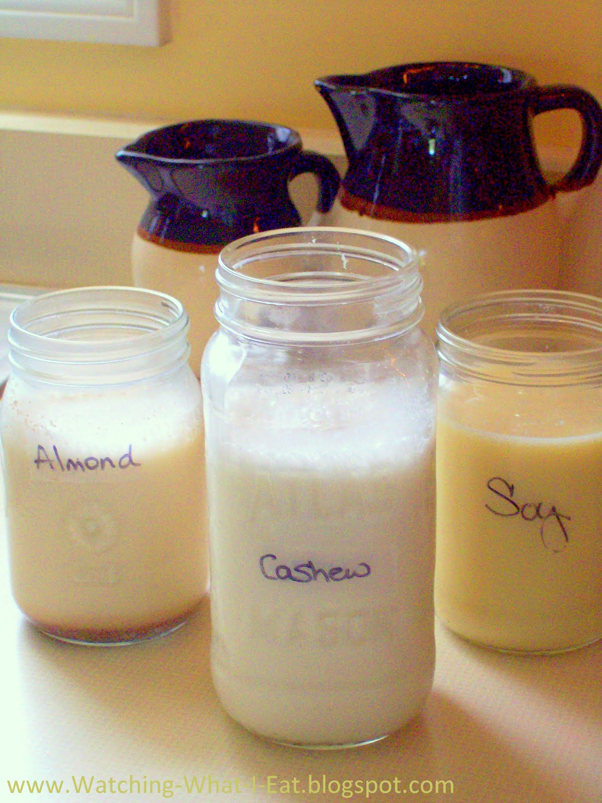 Watching What I Eat Homemade Nut Milk Almond, Cashew, Soy & Vegan