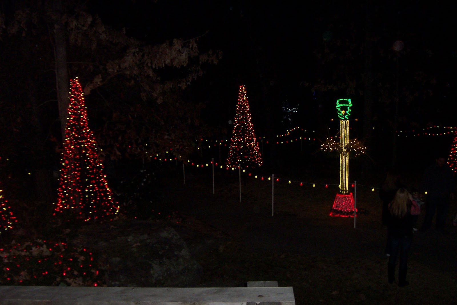 Simple, But Fabulous Garvan Gardens, Christmas Lights, Hot Springs, AR