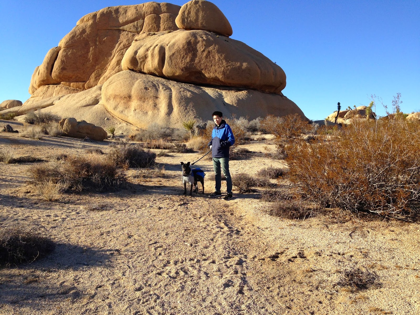 Tanny Chang Christmas in Joshua Tree