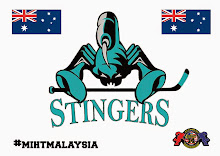 Welcome Team Sydney Stingers
