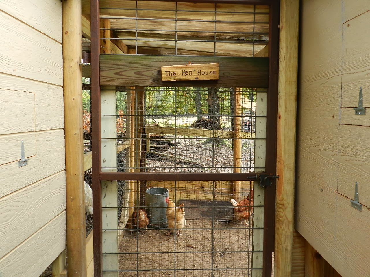 My Inexpensive Chicken Coop