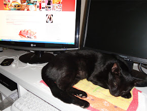 Quem me faz companhia enquanto blogo: meu neguinho, o Robinho!!
