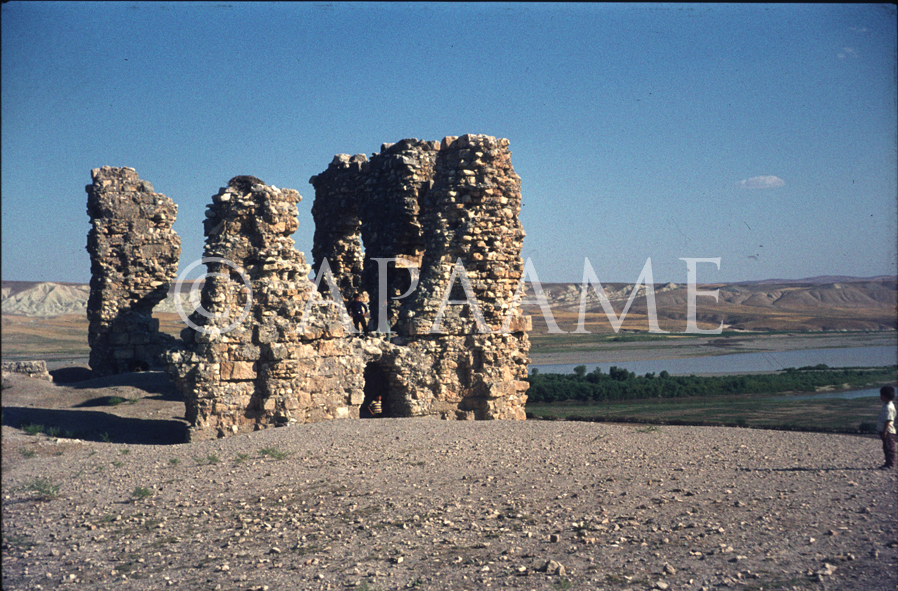 Planet Hugill June 2019