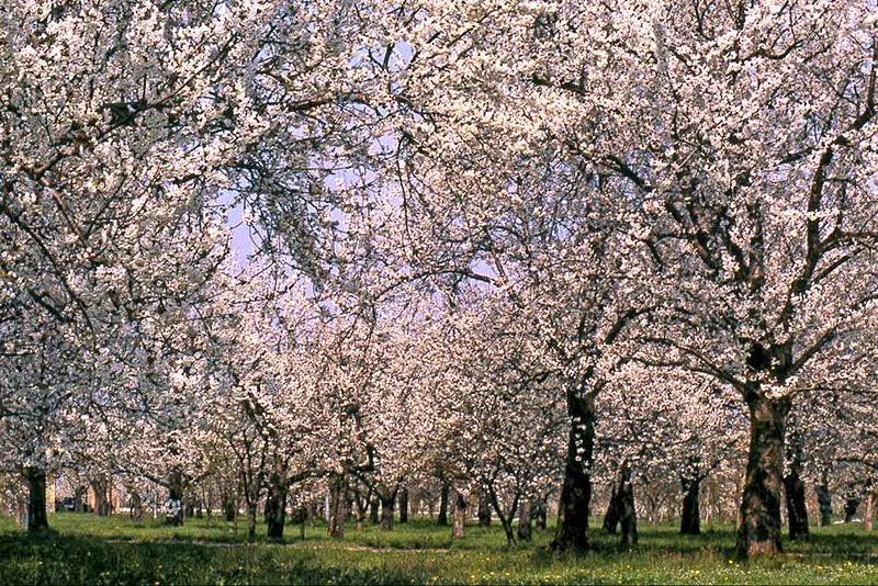 FIABPIACENZA AMOLABICI GITA A VIGNOLA