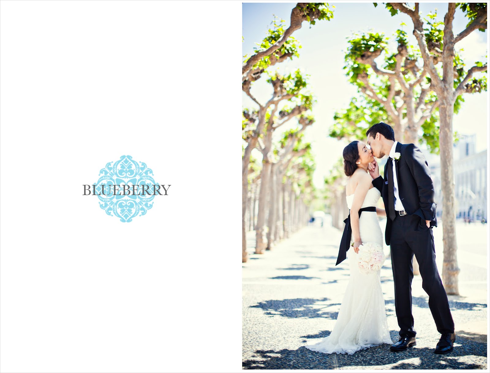 Blueberry Photography