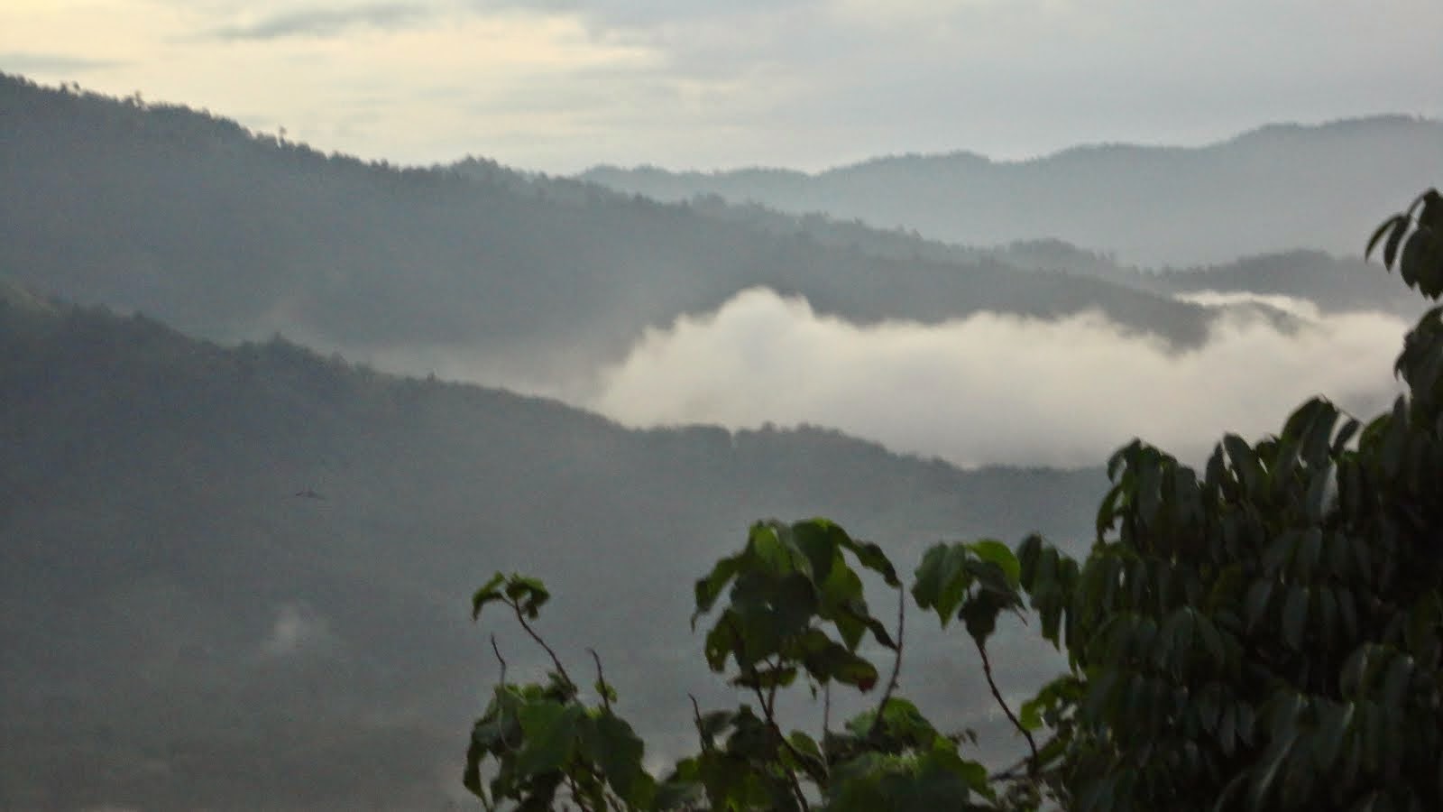 Broga Hill