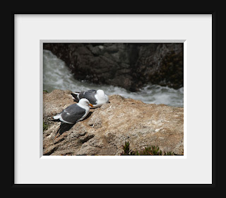 Two seagulls rest on a rock next to the turbulent water of the Pacific Ocean.