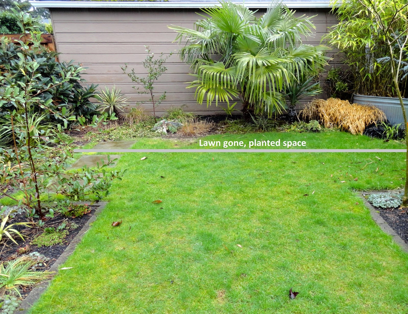 Am Katat Bash A Kiwi On The Move May 2014