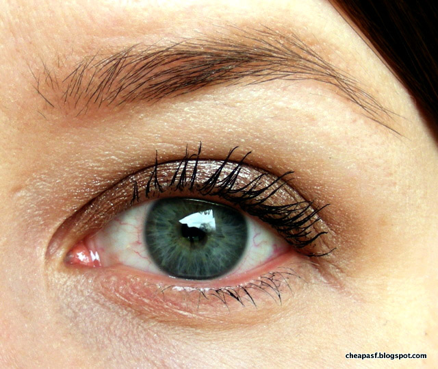 brutally honest beauty Battle of the Bronzes e.l.f. Smudge Pot in