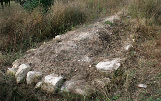 Started to weed out the hugelkultur Started to weed out the hugelkultur