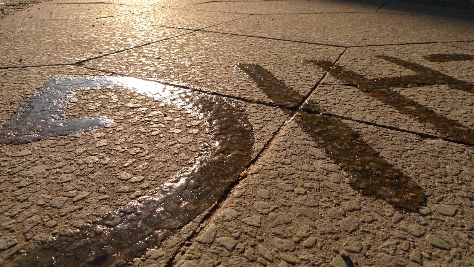 Stiftung FREIZEIT: Vorsicht, frisch gefroren