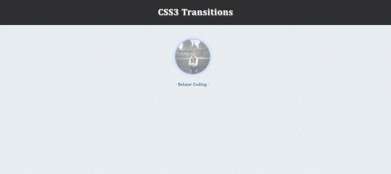 css transition hover
