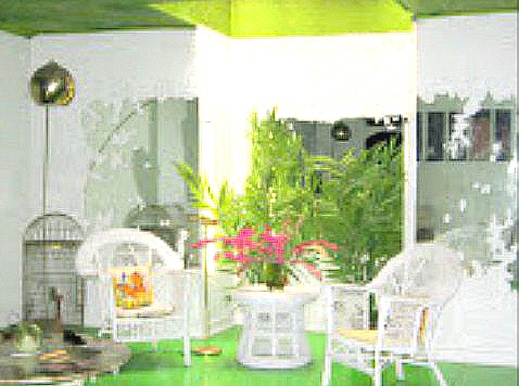 Room On The Broom Green Bird Room On The Broom Green Bird