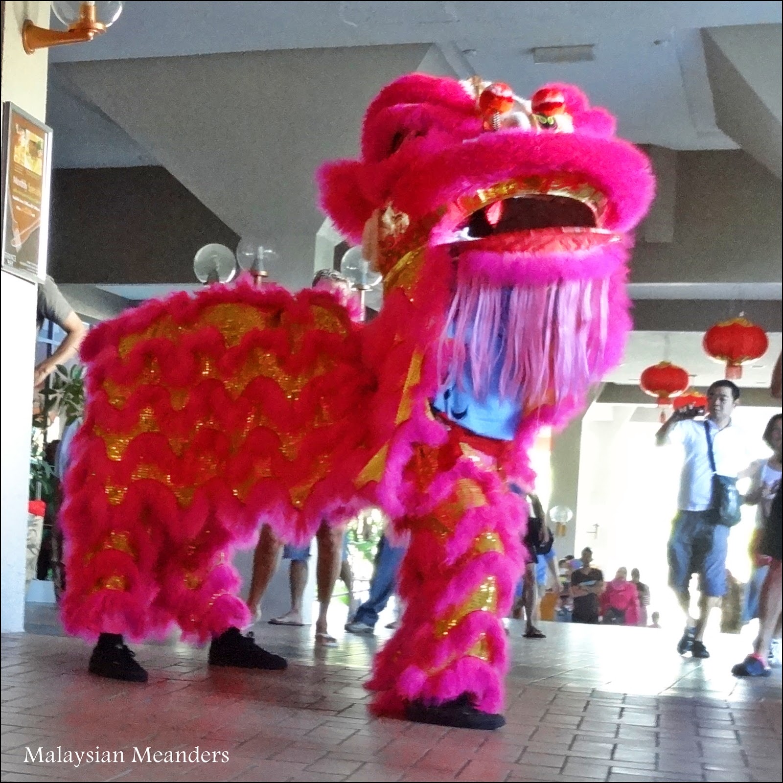 Malaysian Meanders: February 2013