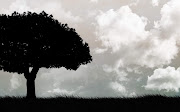 Tree and Sky Black White Wallpaper (black white tree sky wallpaper)