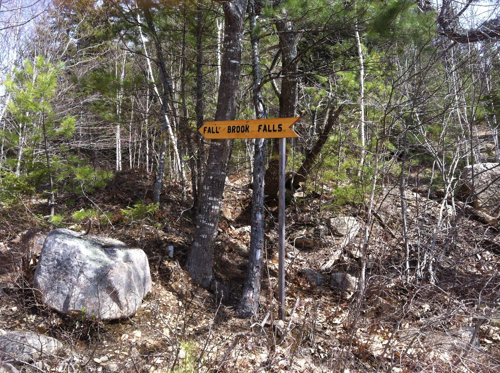 Adventures of the Littlest Hobo Fall Brook Falls