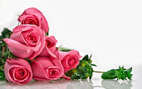 Wallpaper bunga cantik Wallpaper bunga cantik