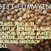 Fumayin Dan Performa Burung