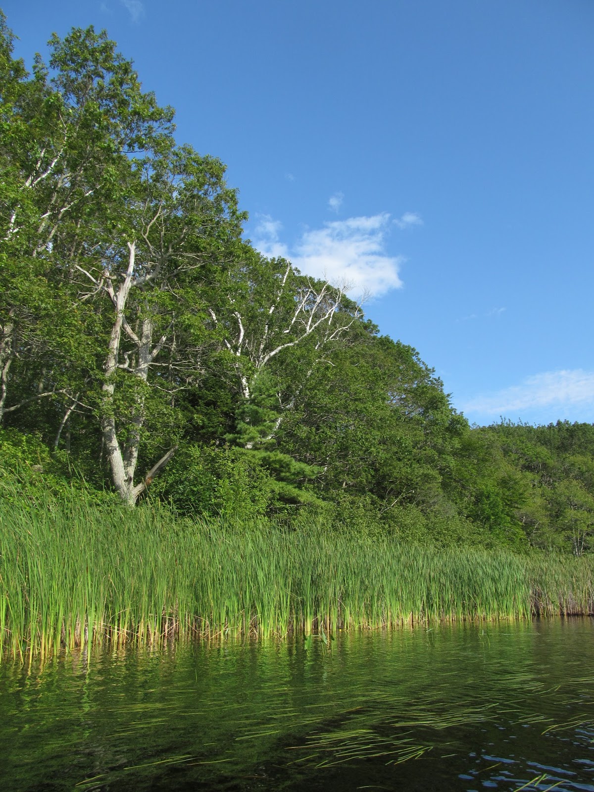 Recreational Kayaking in Maine Great Pond, Cape Elizabeth