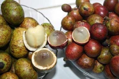 Manfaat Buah Matoa