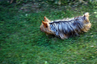 Pekka enjoying the garden