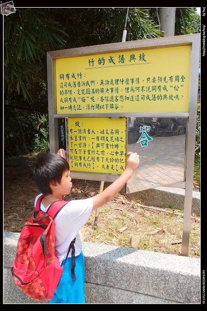 嘉義縣竹崎鄉親水公園萬竹博覽館-全新景點花仙子-天空步道啟用-千禧橋-弘景橋