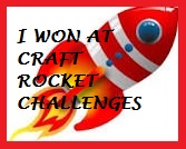 Craft Rocket Challenge Winner