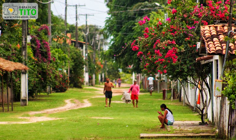 Rua florida na vila do Algodoal, na ilha de Maiandeua, no Pará
