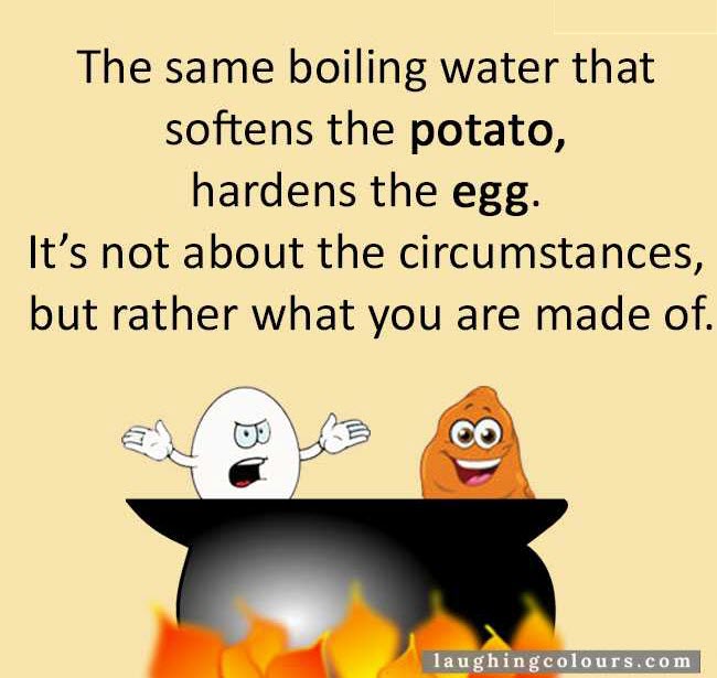 Stressed out? Here’s how to be the egg, not the potato WA Achievers