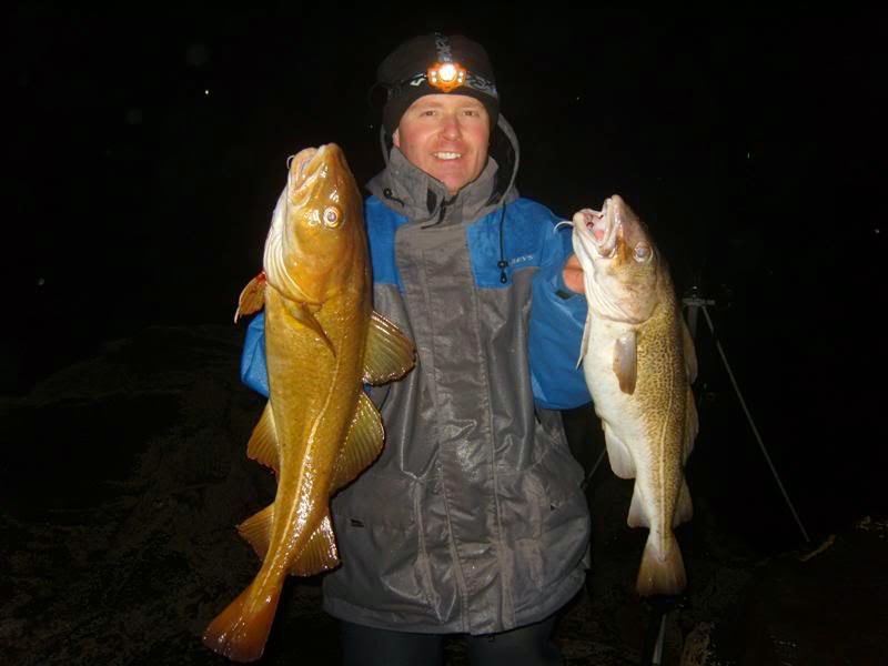 Northumbrian Cod