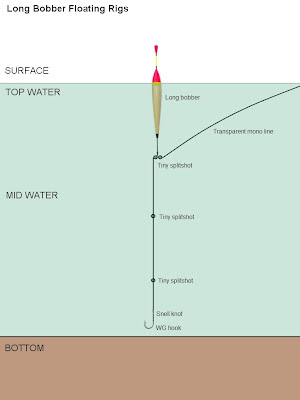 July 2012 | THE ANGLERS carp fish diagrams 