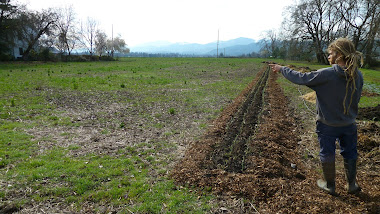 The Historic Hanley farm is going to be growing food once again!