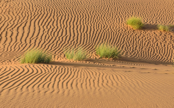 Sand dunes in the Desert