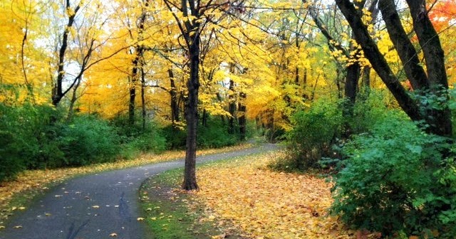 If The Creek Don't Rise: Fall Colors ~ November 1