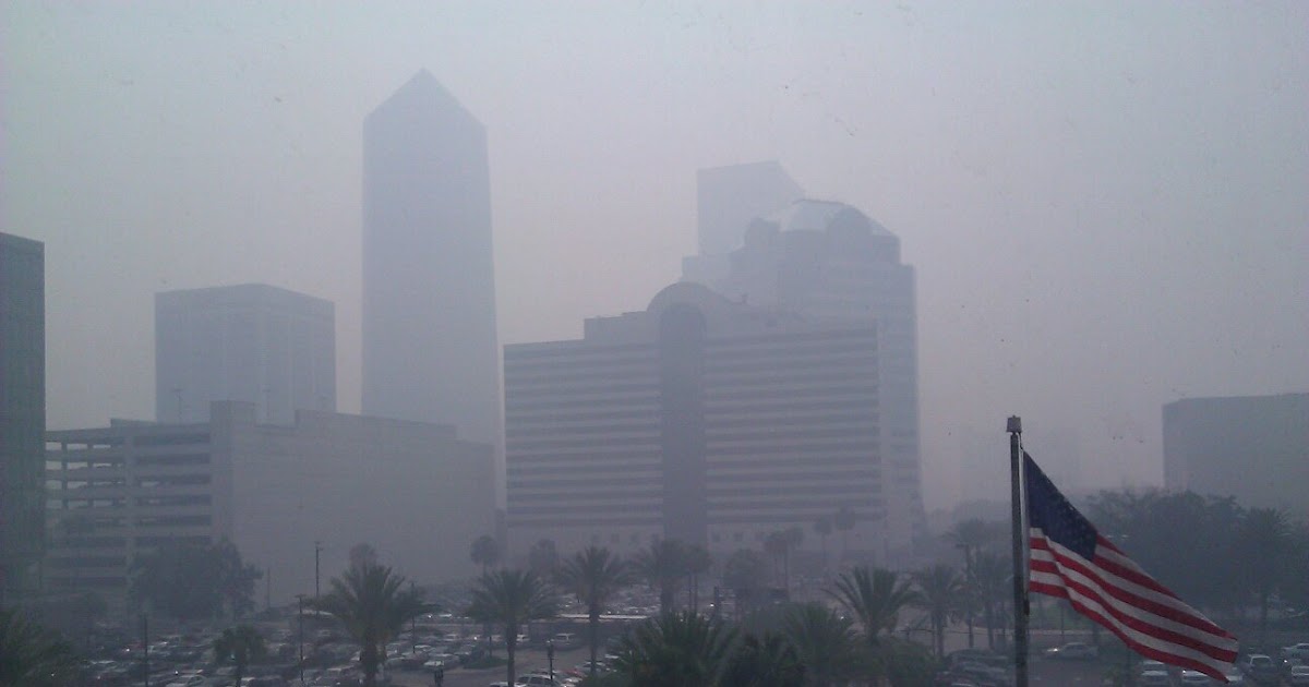 Smokey in Florida The Path To Riches