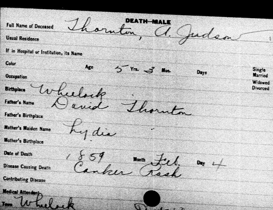 the family connection