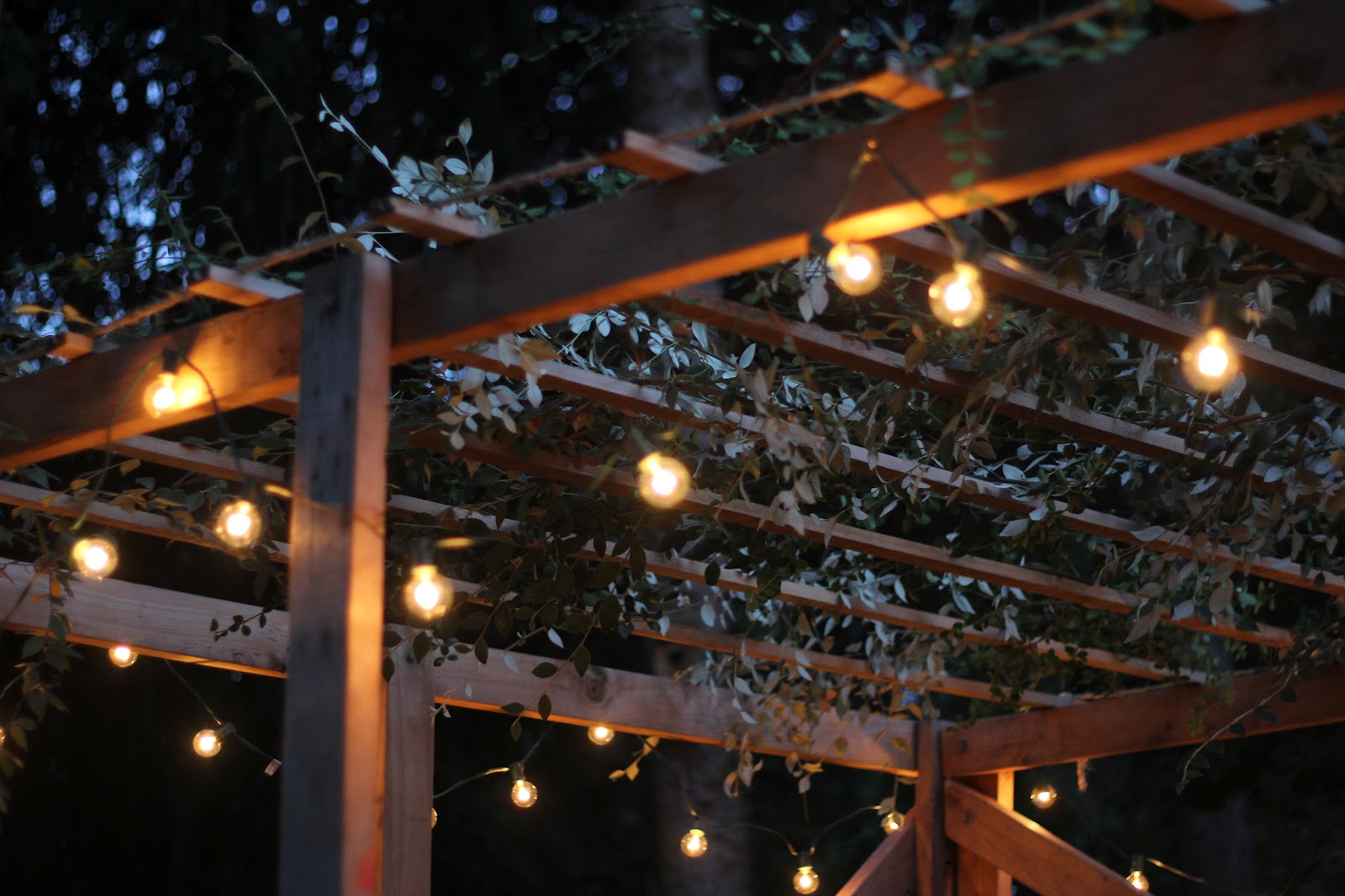 Trellis with Lights Paradise at Home Pinterest