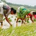 Union Agriculture Minister Asks Bihar Chief Minister to Help Farmers by Utilising State Disaster Response Fund