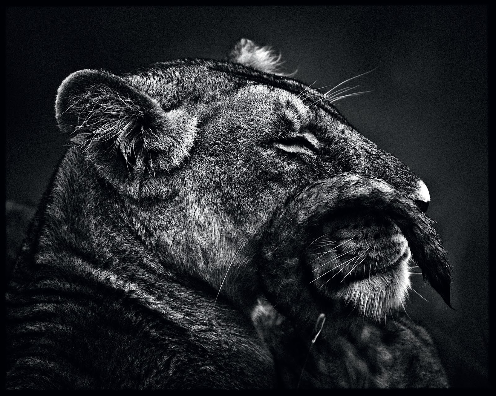 ... ' Diary: RE...