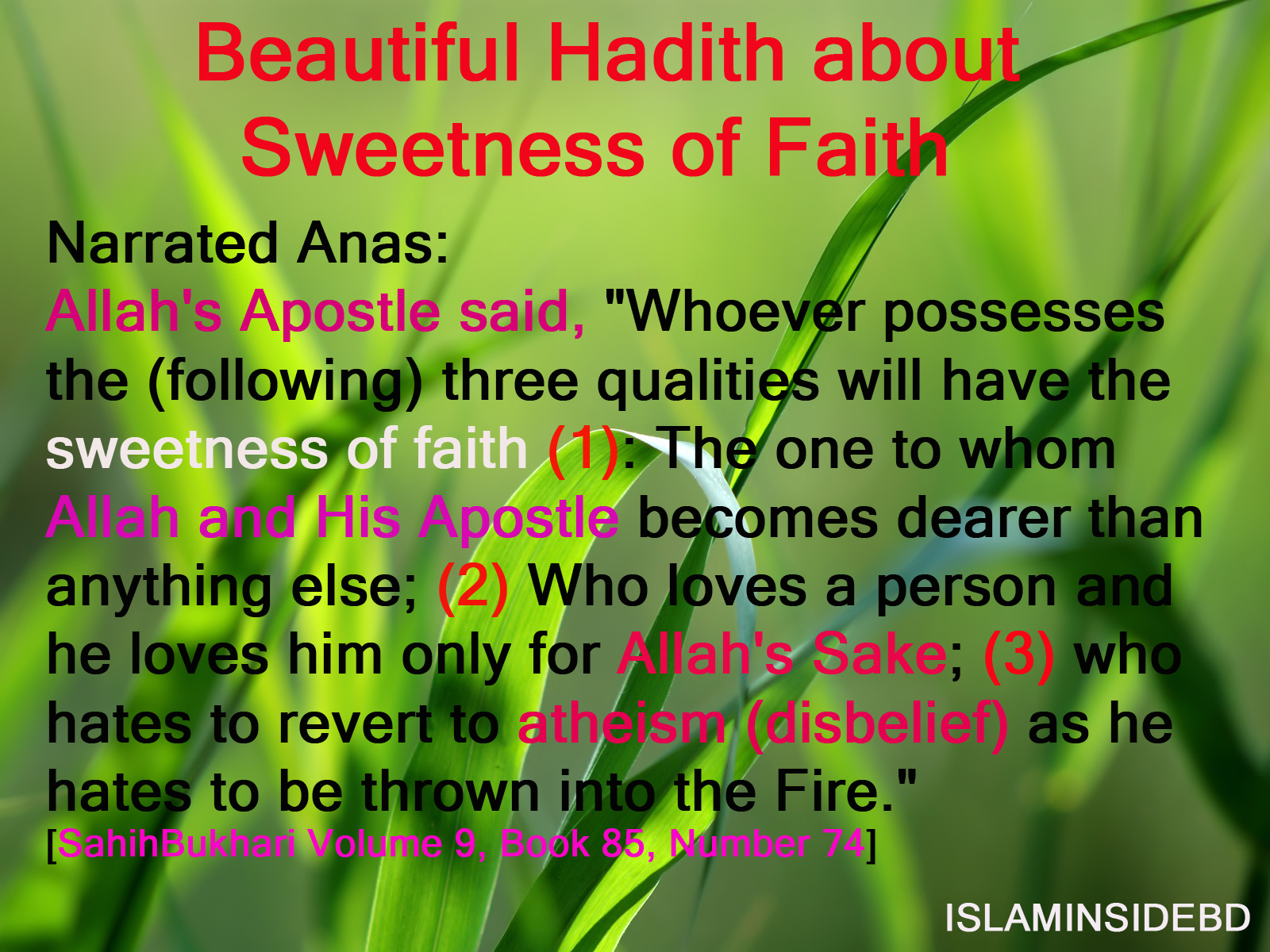 Beautiful Hadith Quotes. QuotesGram
