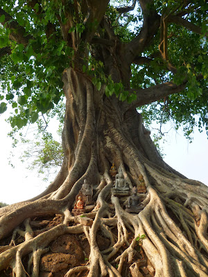 Wat Si Sawai