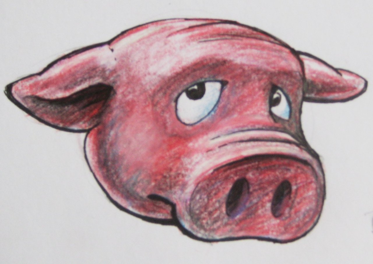 A Sad Pig