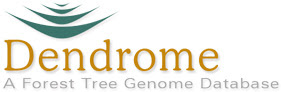 Dendrome