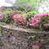 Stone Wall In The Garden