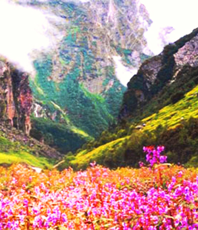 Valley of Flowers National Park,Uttarakhand, India PixoHub