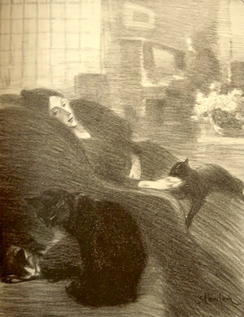 Reisbluete Veganblog 2013